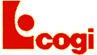COGI srl - CONTROSOFFITTI E SOFFITTATURE