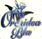 ORCHIDEA BLU di COFONE MARIA CARMELA