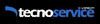 TECNO SERVICE VERDARI srl