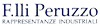 PERUZZO FRATELLI snc