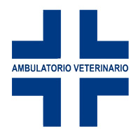 veterinarian ceramic figurines